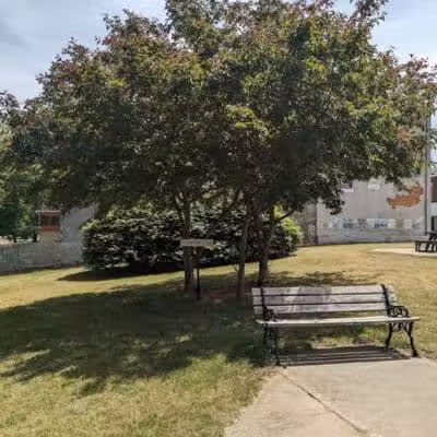 Shelby Park - Constantine,