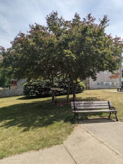 Shelby Park - Constantine,