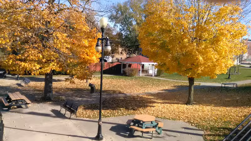 Shelby Park - Constantine,