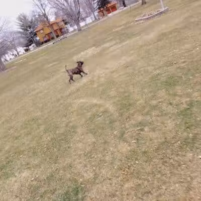 South Washington Park - Constantine,