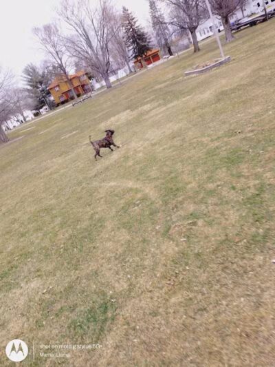 South Washington Park - Constantine,