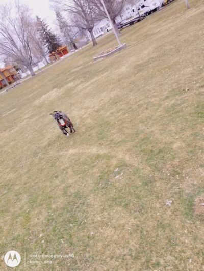 South Washington Park - Constantine,