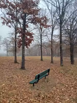 Conway's PetSafe Dog Park - Conway, AR