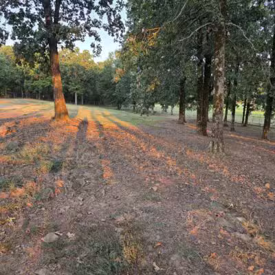Conway's PetSafe Dog Park - Conway, AR
