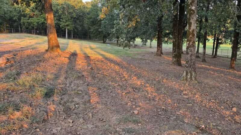 Conway's PetSafe Dog Park - Conway, AR