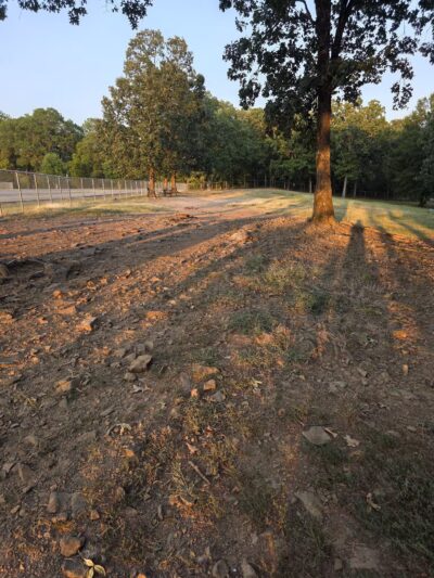 Conway's PetSafe Dog Park - Conway, AR