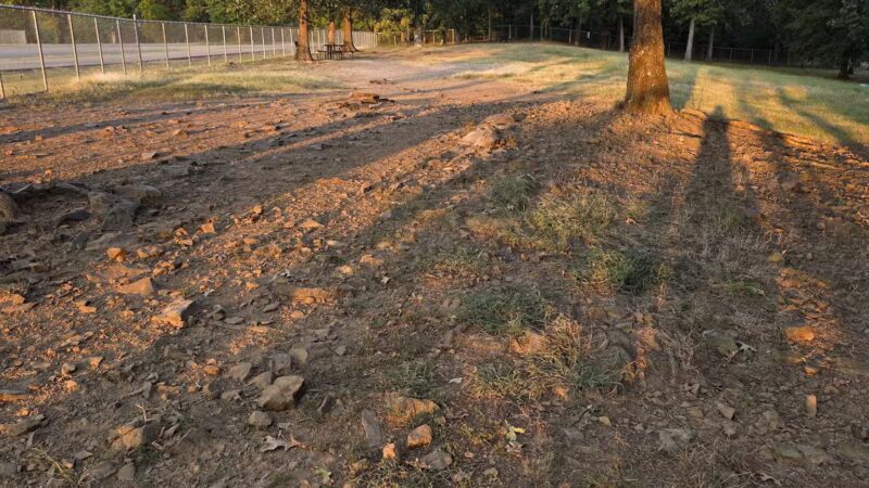 Conway's PetSafe Dog Park - Conway, AR