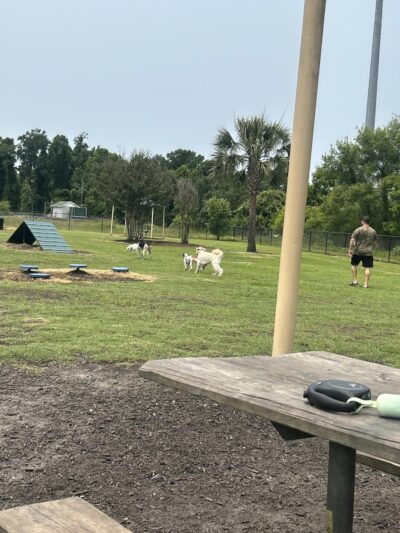 Conway Dog Park - Conway, SC