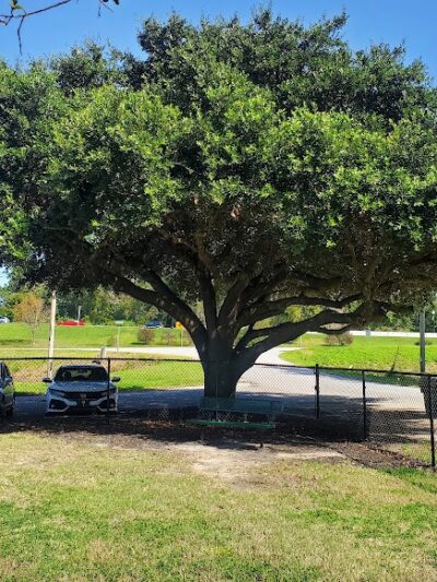 Conway Dog Park - Conway, SC