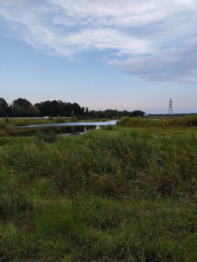 Conway Dog Park - Conway, SC