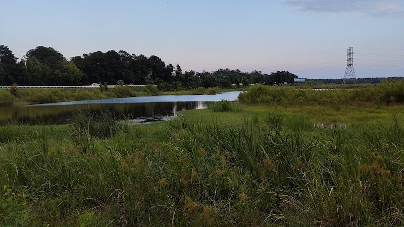 Conway Dog Park - Conway, SC