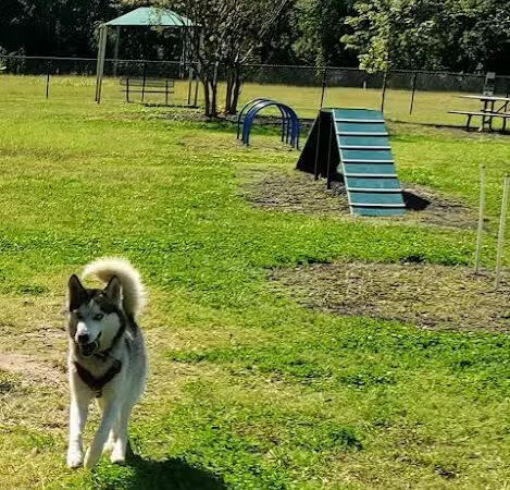 Conway Dog Park - Conway, SC