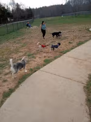Cane Creek Dog Park - Cookeville, TN