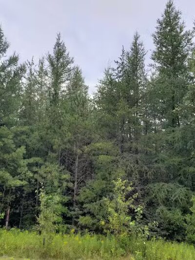 Garden Corners Rest Area - Cooks,