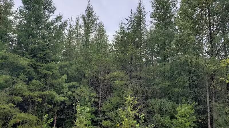 Garden Corners Rest Area - Cooks,