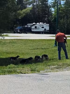 Garden Corners Rest Area - Cooks,