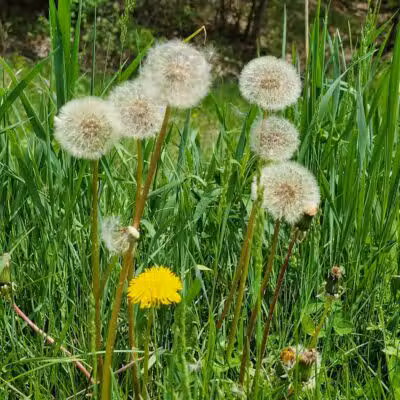 Eastmanville Farm County Park - Coopersville,