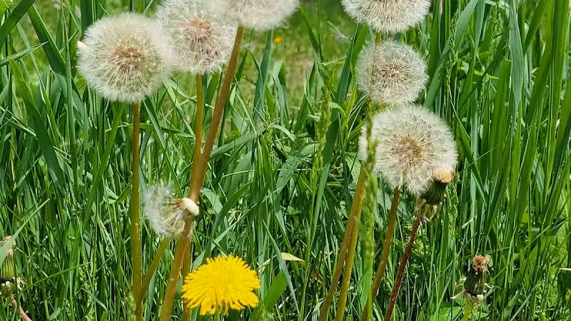 Eastmanville Farm County Park - Coopersville,