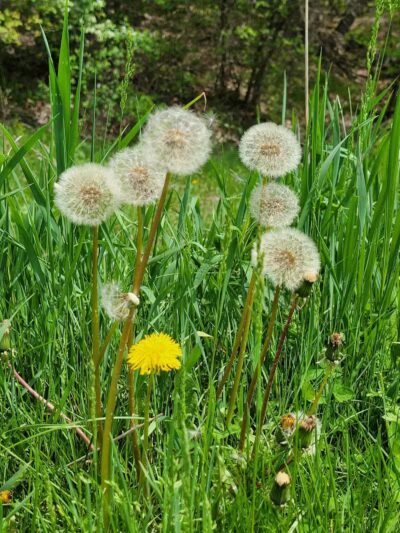 Eastmanville Farm County Park - Coopersville,