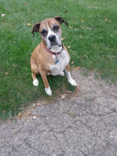 Main Street Park - Coopersville,