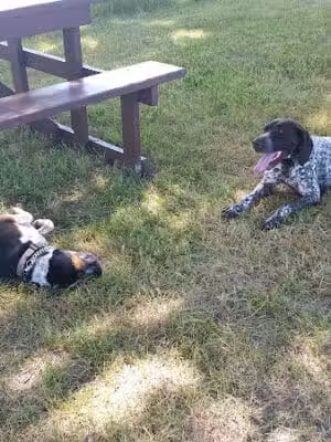 Eastmanville Farm County Park - Coopersville,