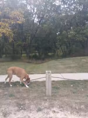 Polkton Township Sheridan Park - Coopersville,