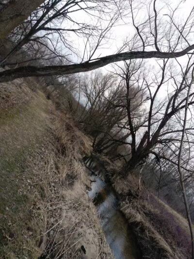 Polkton Township Sheridan Park - Coopersville,