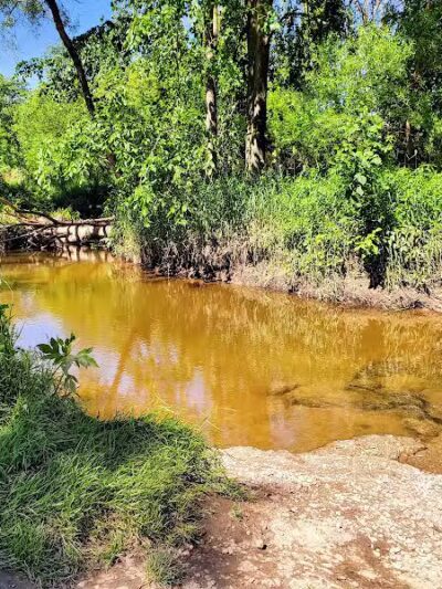Polkton Township Sheridan Park - Coopersville,