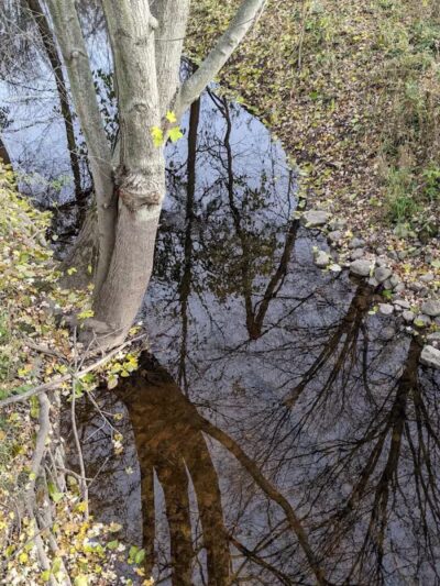 Polkton Township Sheridan Park - Coopersville,