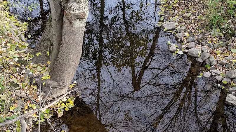 Polkton Township Sheridan Park - Coopersville,