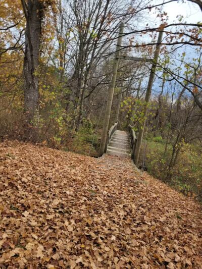 Polkton Township Sheridan Park - Coopersville,