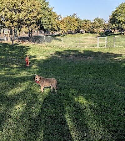 Corcoran Dog Park - Corcoran, CA