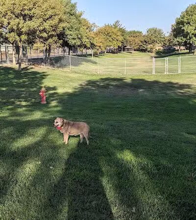 Corcoran Dog Park - Corcoran, CA