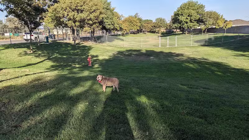 Corcoran Dog Park - Corcoran, CA