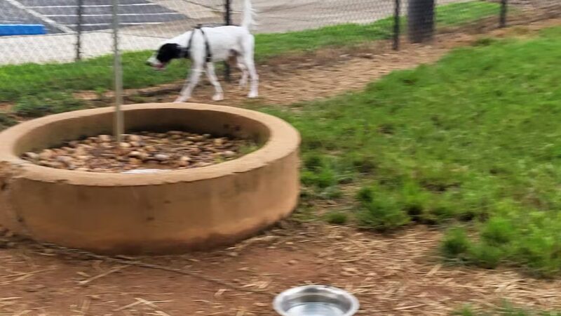 Cornelia Bark Park - Cornelia, GA