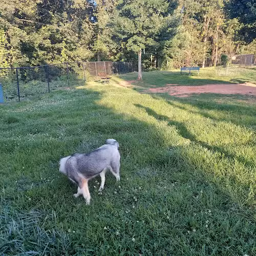 Cornelia Bark Park - Cornelia, GA