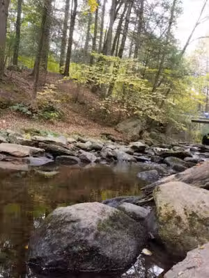 Wyantenock State Forest - Cornwall Bridge, CT