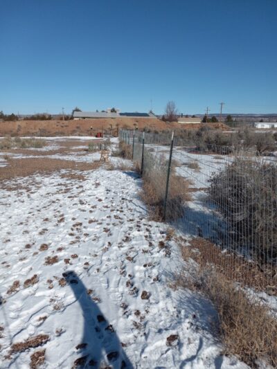 Cortez Dog Park - Cortez, CO