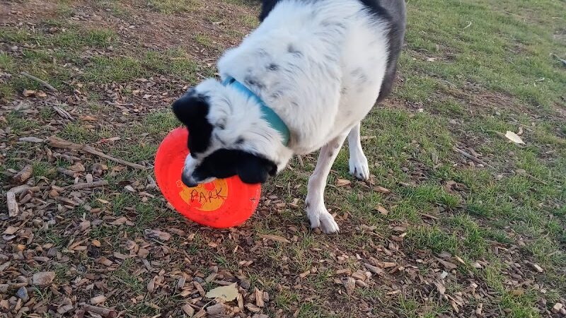 Cortez Dog Park - Cortez, CO