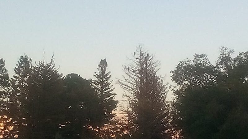 Cortez Dog Park - Cortez, CO