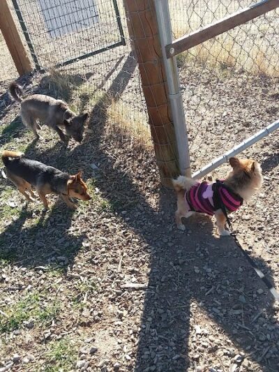 Cortez Dog Park - Cortez, CO