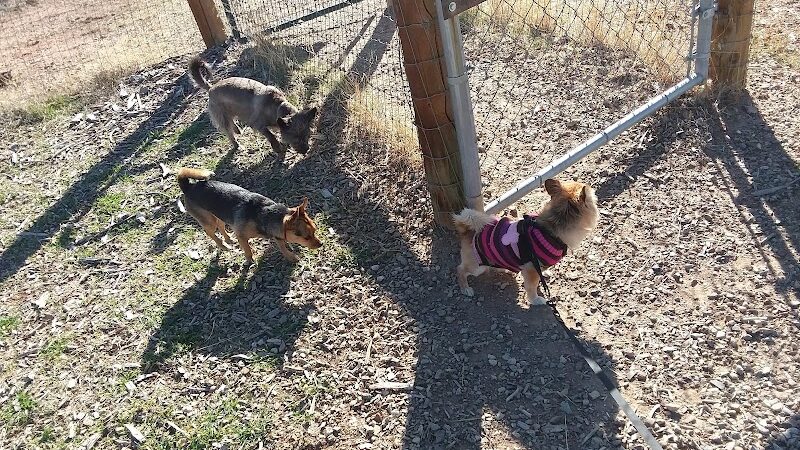Cortez Dog Park - Cortez, CO