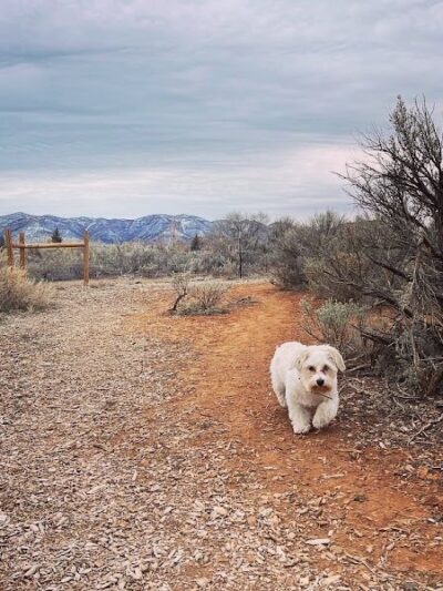 Cortez Dog Park - Cortez, CO