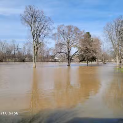McCurdy Park - Corunna,