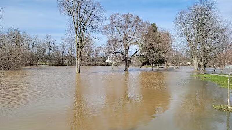 McCurdy Park - Corunna,