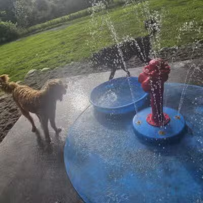 WAG Farms Dog Park - Cottage Grove, MN