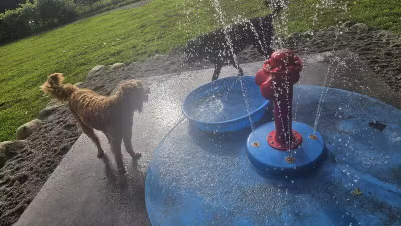 WAG Farms Dog Park - Cottage Grove, MN