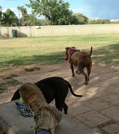 Riverfront Dog Park - Cottonwood, AZ