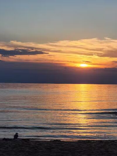 Covert Township Park - Covert,