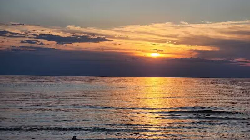 Covert Township Park - Covert,